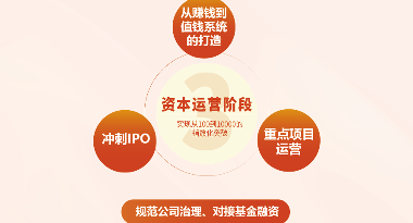 资本运营阶段
