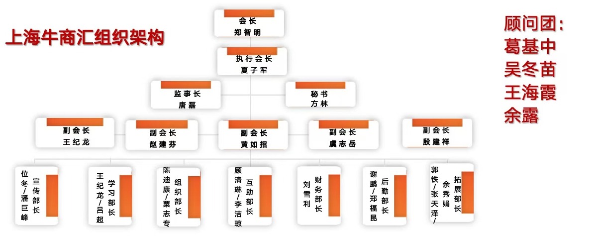 上海牛商汇组织架构