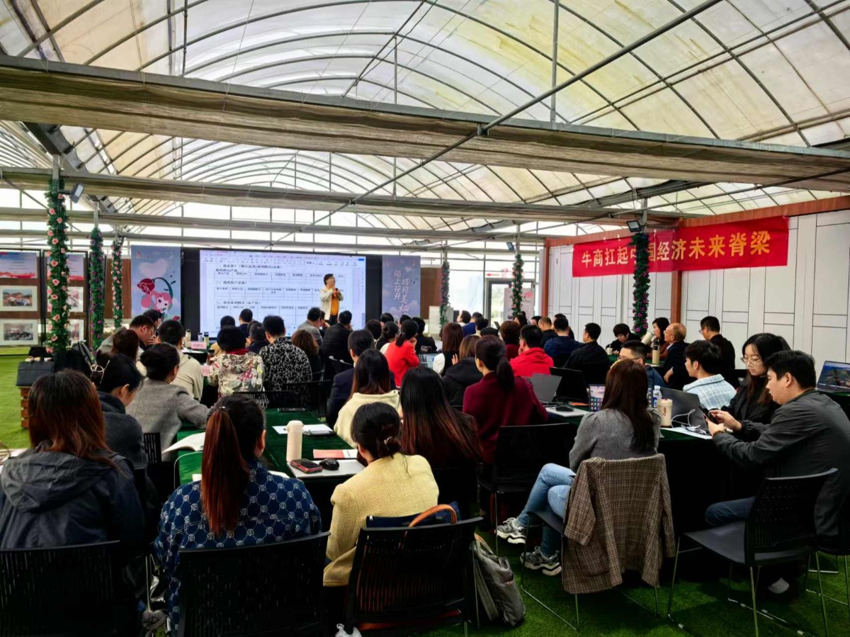陈晓利老师授课中