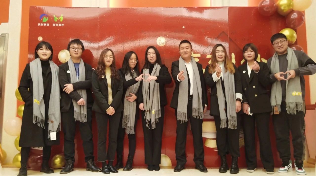 美创网络团队