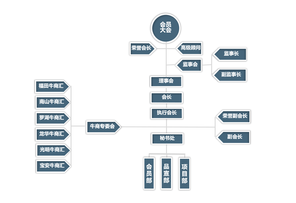 深圳市传统企业网络营销促进会组织架构